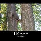 Gay Trees