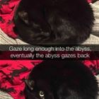 Gaze Long Enough