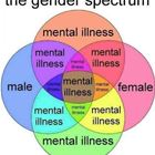 Gender Spectrum