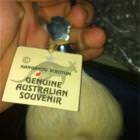 Genuine Australian Souvenir