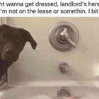 Get Dressed
