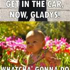 Get In The Car Now