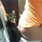 Get Off Its My Turn