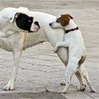 Get Off Me
