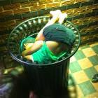 Get This Girl Another Drink