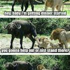 Getting Dinner Started