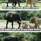 Getting Dinner Started