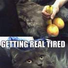 Getting Tired Of This