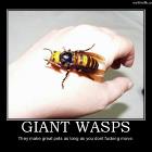 Giant Wasps