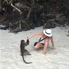 Gimme That Lady