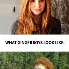 Gingers
