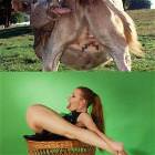 Girls Got Talent
