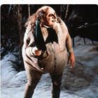 Girls Shaped Like This