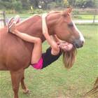 Girls Who Love Horses 2