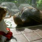 Go Away Kid