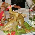 Gobble Gobble