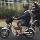 Going For A Ride