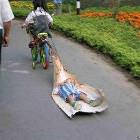 Going For A Ride