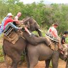 Going For The Ride