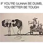 Gonna Be Dumb