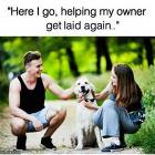 Good Boy