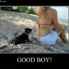 Good Boy