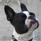 Good Day Sir