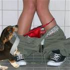 Good Dog