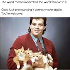 Good Luck Meow