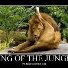 Good To Be King