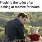 Goodbye Pooh