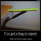Got A Bug