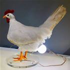 Got A New Lamp