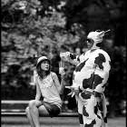 Got Milk Lady