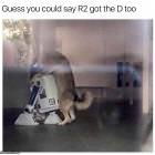Got The D Too