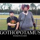 Gothopamus