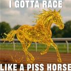 Gotta Race