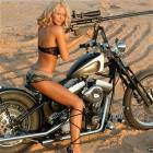 Great Deal Of Win Here