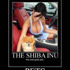 Great Pets