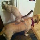 Great Teamwork