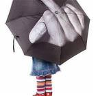 Great Umbrella