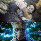 Groot