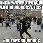 Groundhog