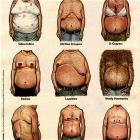 Guide To Man Boobs
