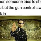 Gun Control Laws