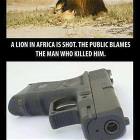 Guns