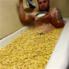 Guy Loves Cereal