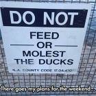 Had A Big Weekend Planned