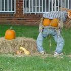 Halloween Scare Crow