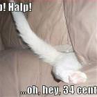 Halp Halp